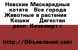 Невские Маскарадные котята - Все города Животные и растения » Кошки   . Дагестан респ.,Кизилюрт г.